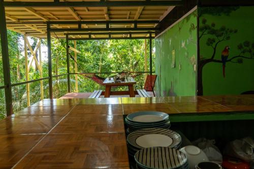 Corcovado Adventures in Drake Bay