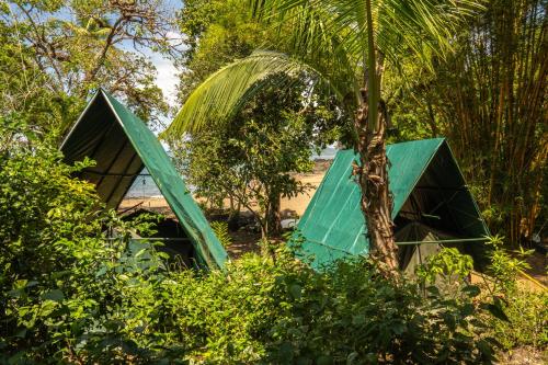 Corcovado Adventures in Drake Bay