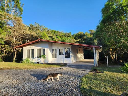 Zen Canyon in Palmira