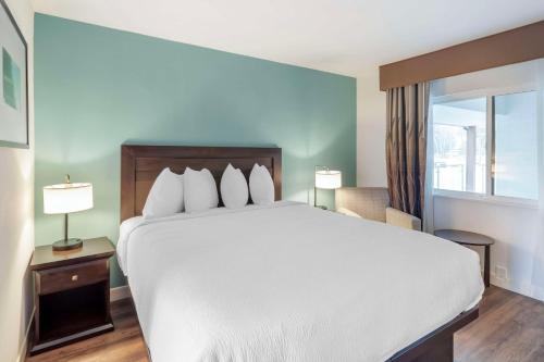 Best Western Plus Inn of Ventura - image 7