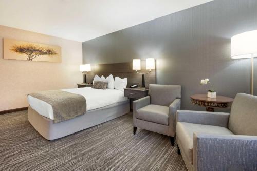Best Western Plus City Center - image 11