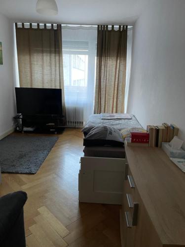 Cute Geneva Studio - Tap to explore photos