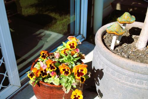 Browns Rocks Caravan Park