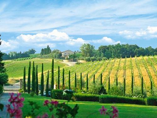 Apartment in Tuscany with Pool & Golf, Gambassi Terme (fotografie 7)