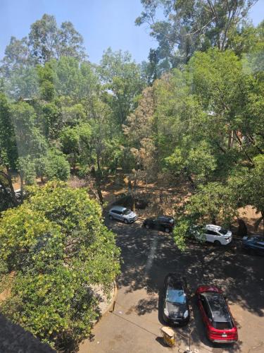 Habitación confortable frente a área verde y río con fauna silvestre con pista para ejercitarse in Mexico City, Mexico