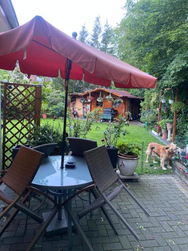 Helles Appartment, Brema (foto 4)