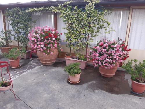 B&B I Coppi - image 12