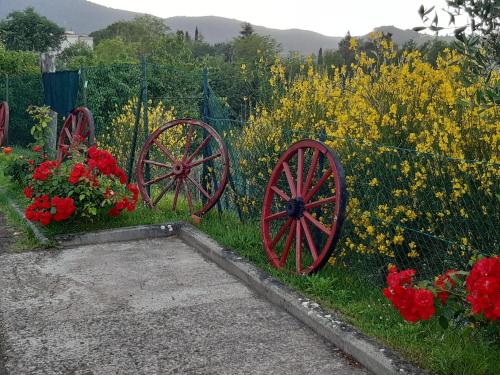 B&B I Coppi - image 9