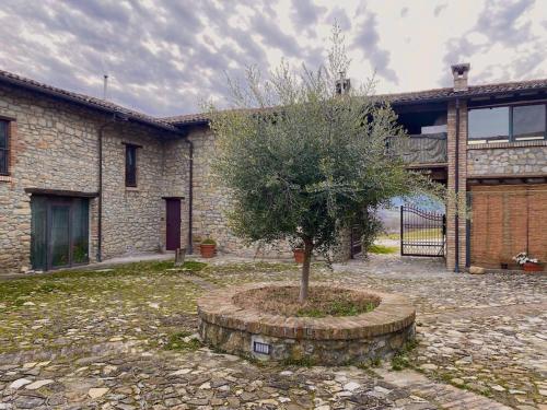 Maison di Sarah in Bagnaria