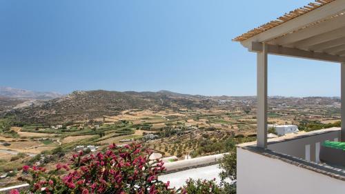 Skats, Halcyon Suites and Villas Naxos in Agkidia
