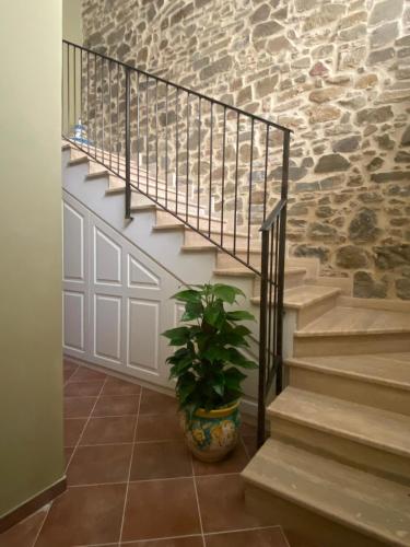 RUGGIERO GUEST HOUSE in Cicerale
