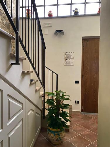 RUGGIERO GUEST HOUSE in Cicerale