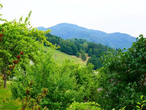 Haus Landblick 4.7km von Kleines Wiesental entfernt