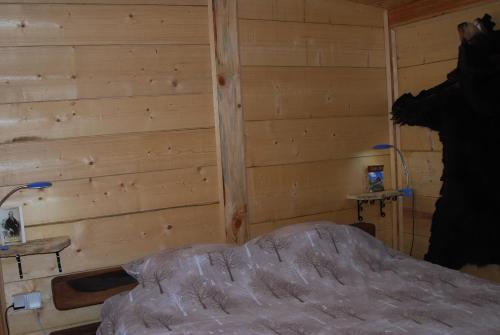 Brvnare Dunja 1 i Dunja 2