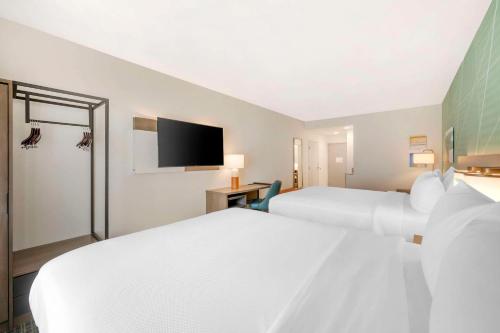 Comfort Suites South - image 5