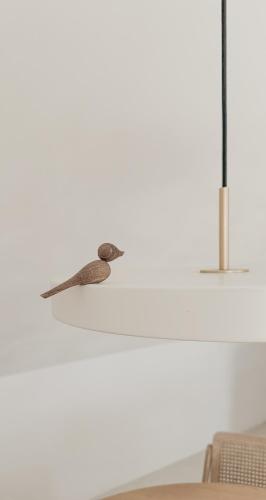 Létesítmények, CODAK suite in Kluisbergen