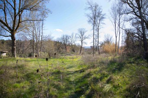 Zen Experience including Yoga & Healthy food in Ladern-sur-Lauquet