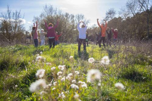Zen Experience including Yoga & Healthy food in Ladern-sur-Lauquet
