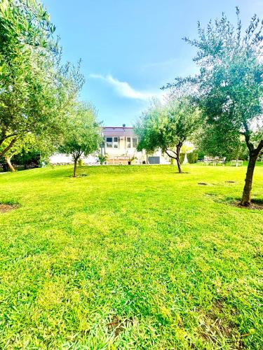 Villa Katerina - image 5