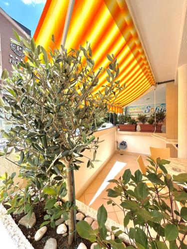 Apartments Sofija, Budva (fotografie 8)