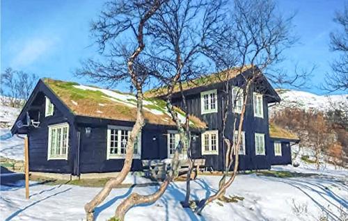 3 Bedroom Nice Home In Oppdal 3 Bedroom Nice Home In Oppdal