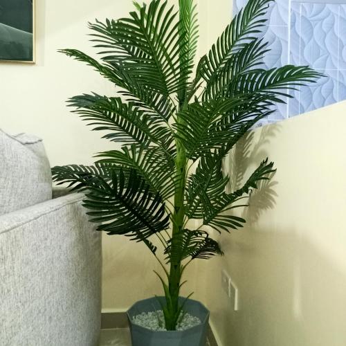 Zane's cabin in เนย์รี