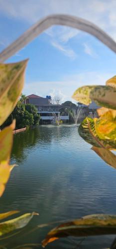View, Hideout Hostel in Ko Pha-ngan
