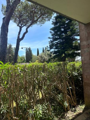 nel cuore di Roma monolocale con piscina, Řím (fotografie 5)