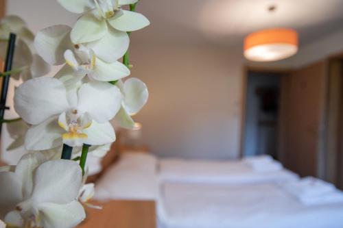 Apartment Edelweiss - Tap to explore photos