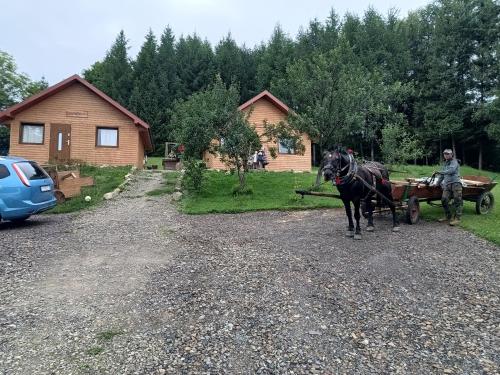 BIESZCZADZKA Antosiówka - Location saisonnière - Zahoczewie