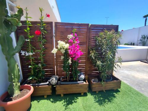 La Alberca Boutique Studio La Alberca Boutique Studio