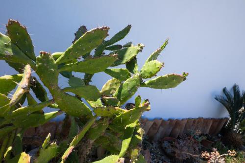 Villaggio Camping Fiorina - image 2