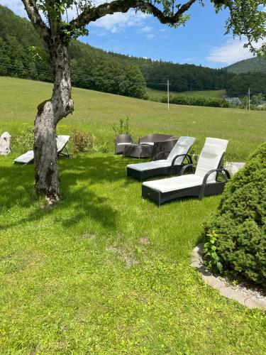 Aed, Eisenstattgut Faistenau in Faistenau