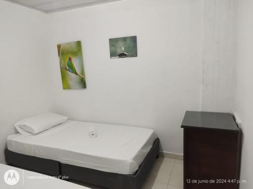 Hospedaje en Armenia, Quindío