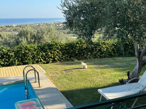 Lily's Cottage - image 14