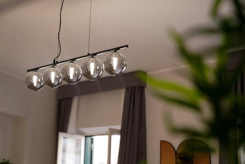 Bruno Domus Design - image 4