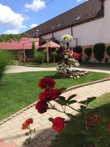 Casa DanAdy Casa DanAdy