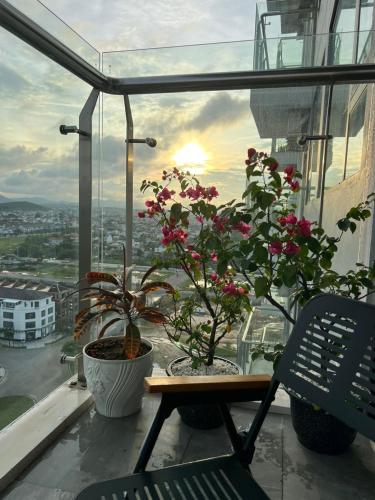 Dolphin Homestay Nera Garden Hue - 발코니/테라스
