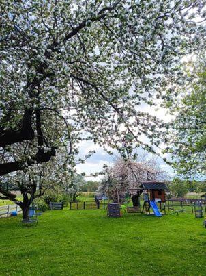 Hage, Gospodarstwo agroturystyczne Daleko od szosy - pokoje i domek in Borków