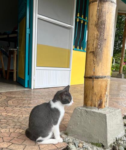 Finca La Molienda, esplendido Mirador del Quindio in Circasia