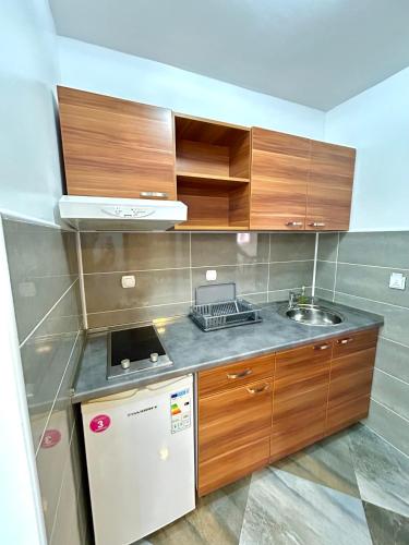 Vila Markovic-a - image 6