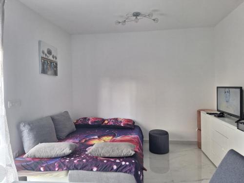 Zero-Bedroom Studio with Terrace image 7