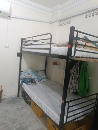 Hamid hustle - main image