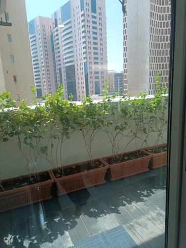 Hamid hustle - image 5