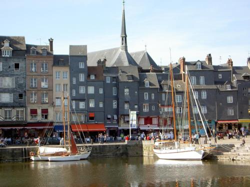 Adonis Hauts De Honfleur - image 9