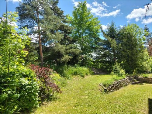 Camping - La Salle-les-Alpes - Provence-Alpes-Côte d'Azur - Chalet Nicouski - Image #1