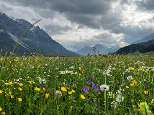 Stanzls - Lodge am Lech Stanzls - Lodge am Lech