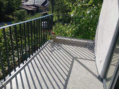 Casa Stejaru in Baile Govora