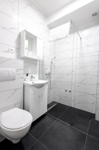 One-Bedroom Apartment image 2