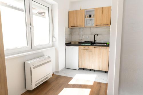 One-Bedroom Apartment image 7